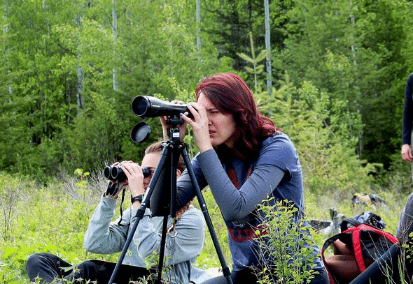 image of a woman sighting Nightforce spotting scope