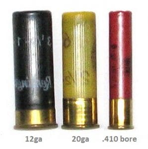 a picture of different shotgun shells