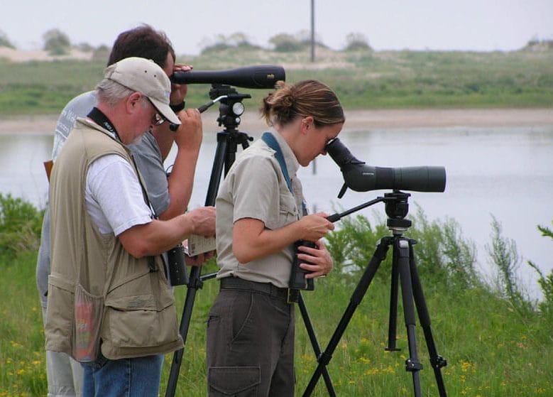Birders using spotting scopes