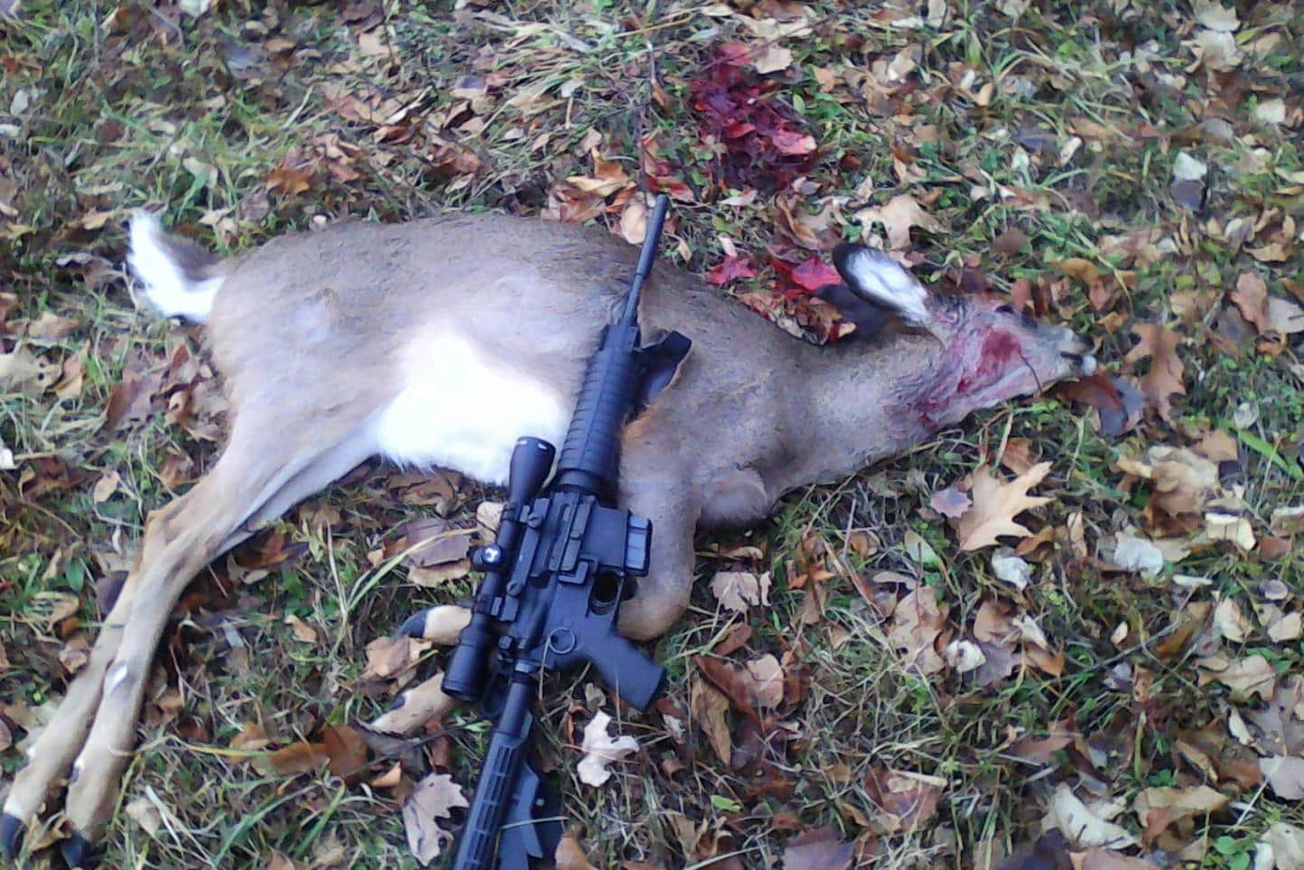 ar 15 for deer hunting