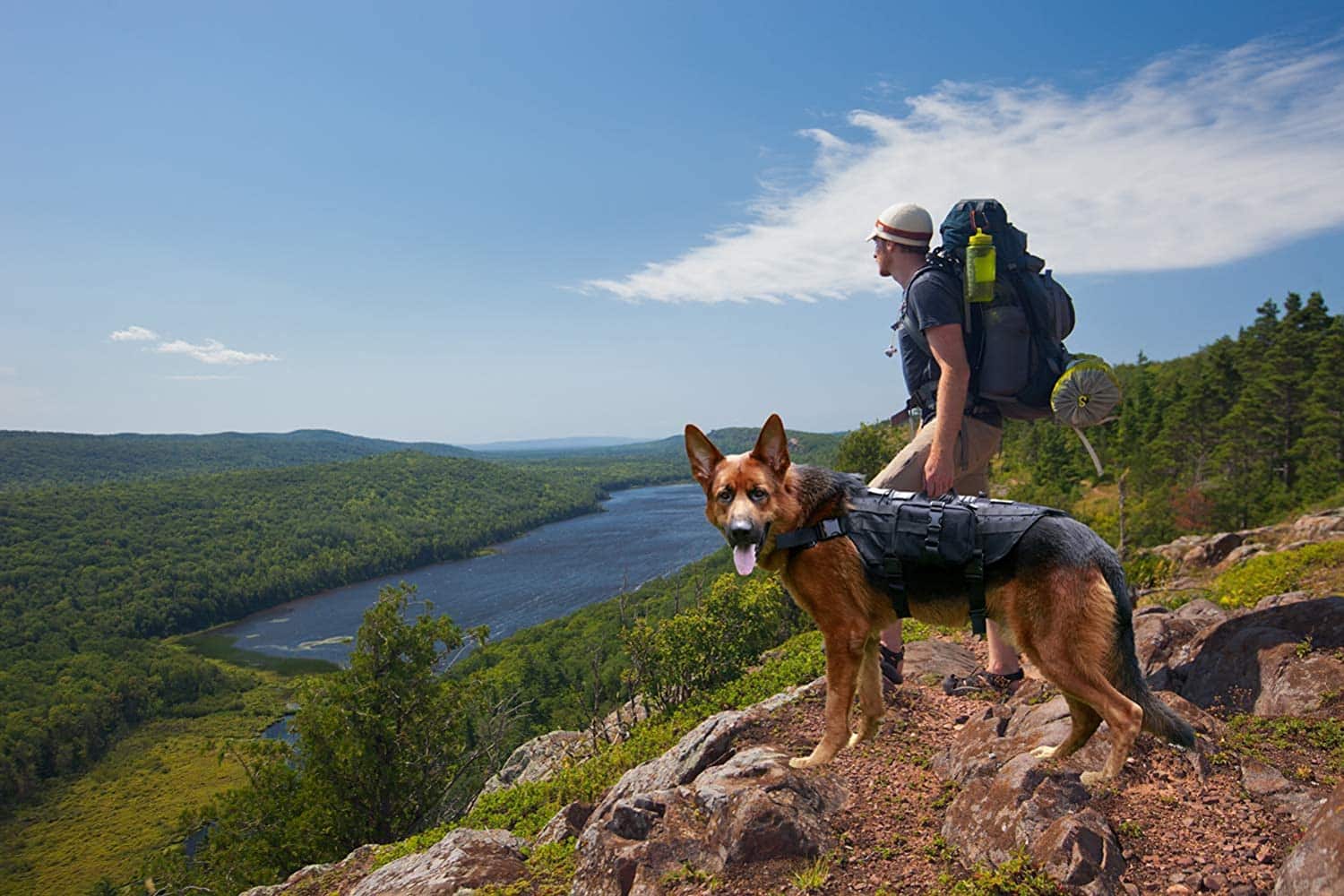 Bugging Out with Your Dog? Here are 9 Items for Your Dog Bug Out Bag
