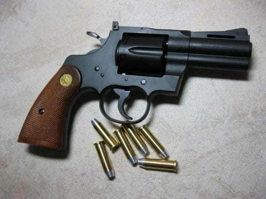 Image of a .375 Magnum