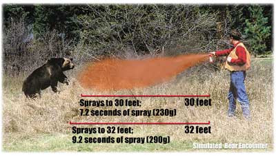 image showing how far to spray the bear