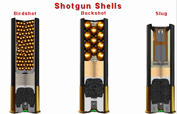 How the shotgun cartridges and slugs look on the inside