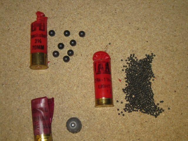 Different shotgun shells and shot