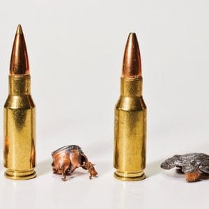 AR-15 Ammunition in different specifications