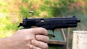 image of 22 pistol