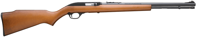 The Marlin Model 60 is a .22 caliber rifle