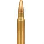 .308 Winchester caliber bullet
