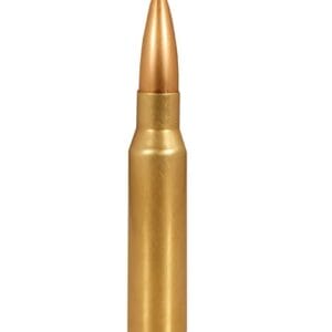 image of .308 Winchester