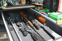 gun cabinet with firearms