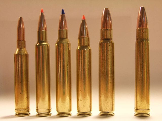 300 WIN MAG VS 308 WIN - Caliber Showdown - Gun News Daily