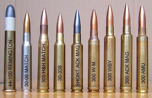 image of ammo calibers