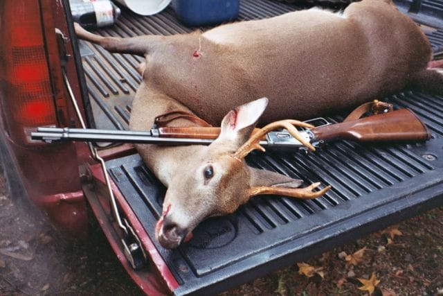 a picture of a deer killed with a 44 magnum carbine