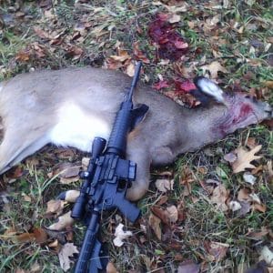 AR-15 is great for deer hunting