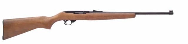 The Ruger 10/22 rifle 