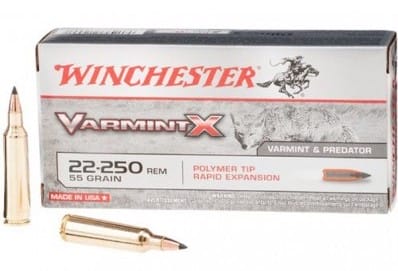 Winchester Varmint .17 HMR Ammo