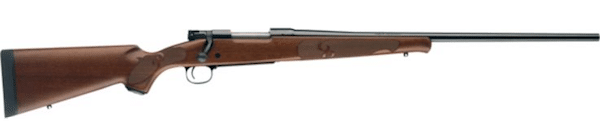 WINCHESTER MODEL 70 SAFARI EXPRESS rifle
