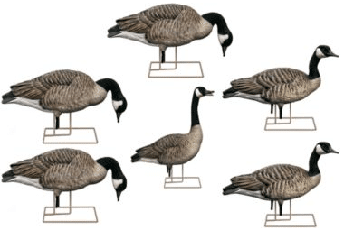 Avian-X 9009 Axp Outfitter Lesser Pack Goose Decoys