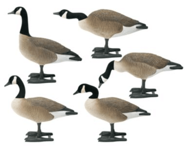 Big Foot B2 Full-Body Canada Goose Decoys 