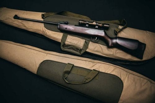 rifle with gun case
