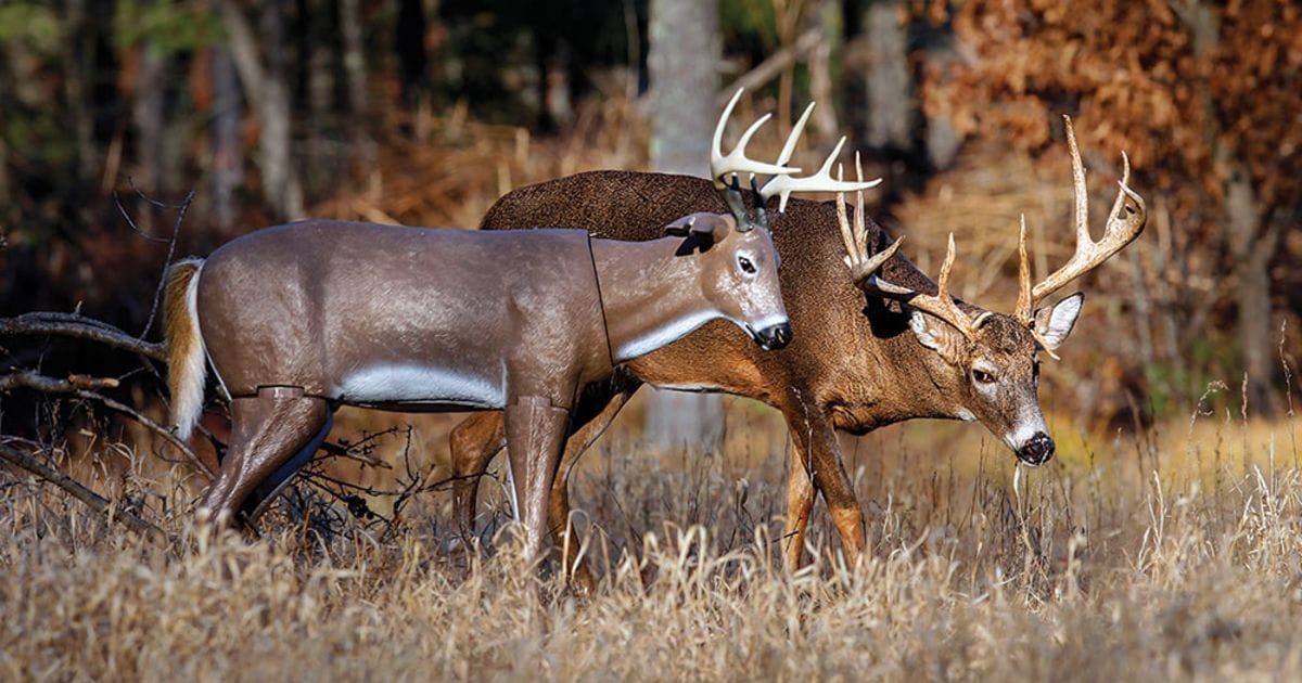 The 3 Best Deer Decoys You Can Buy Today…And How To Use Them