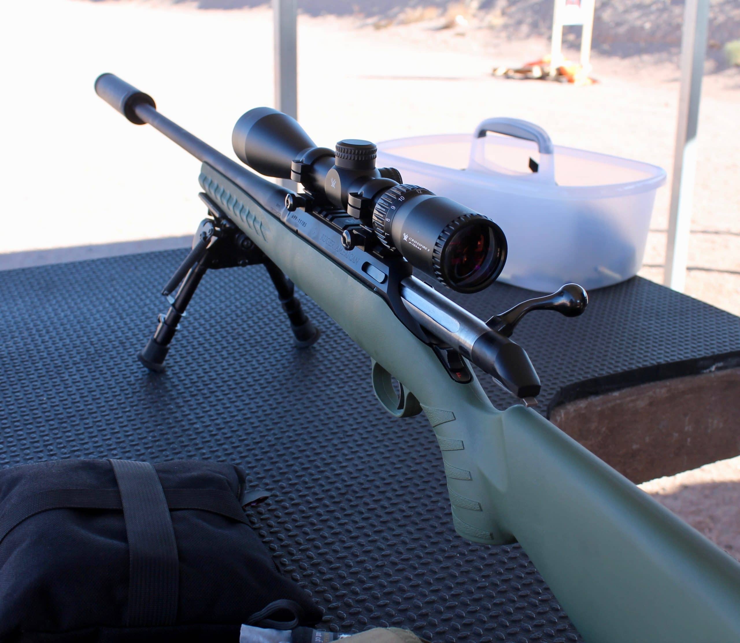 Ruger American Predator with scope 1