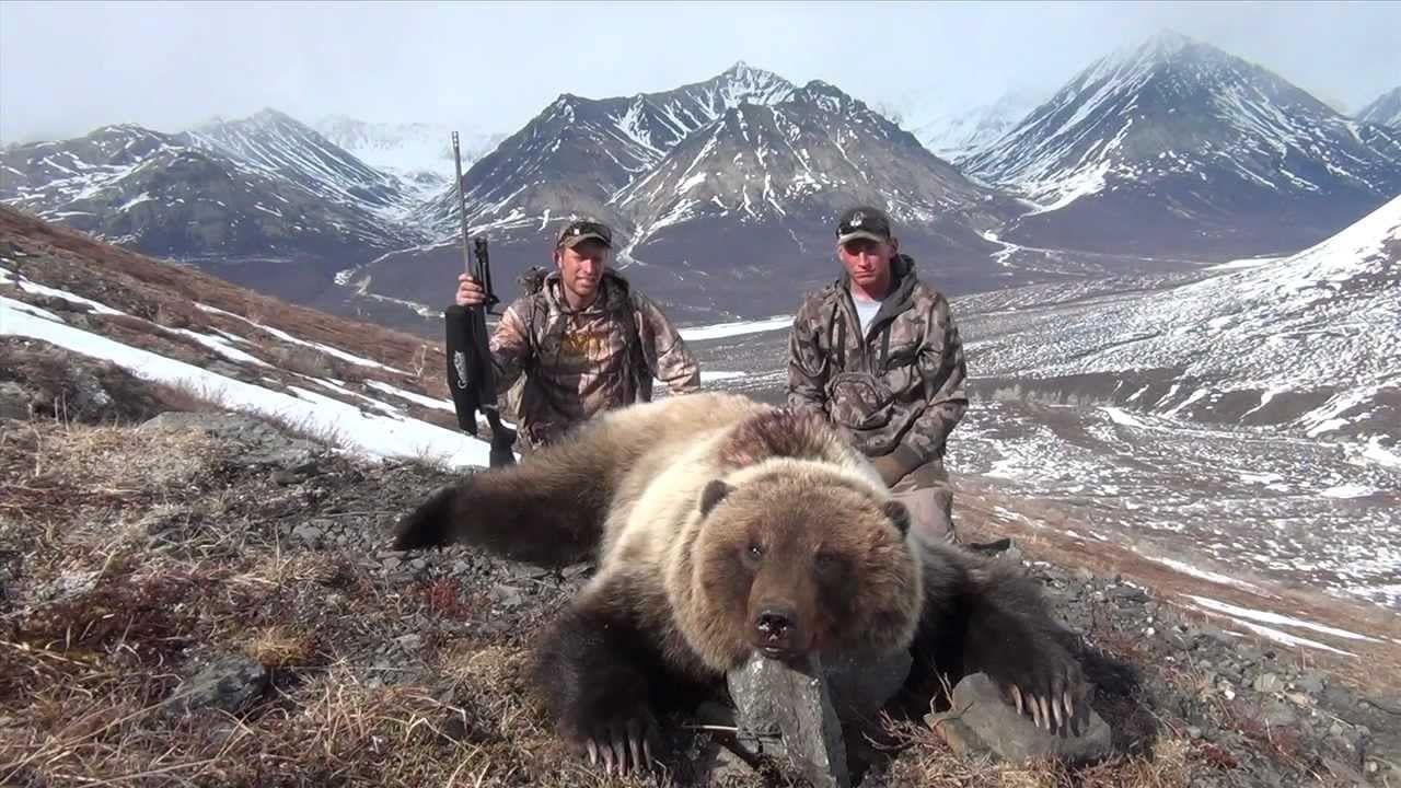 Best Calibers for Grizzly Bear Hunting