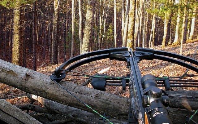 crossbow used for hunting