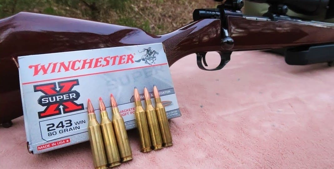 .25-06 Remington vs. .243 Winchester: The Better Overbore