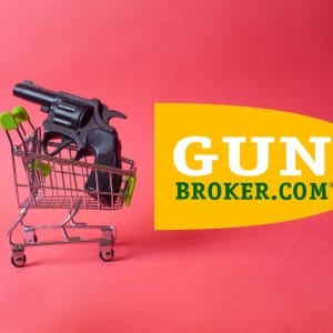 gunbroker.com review