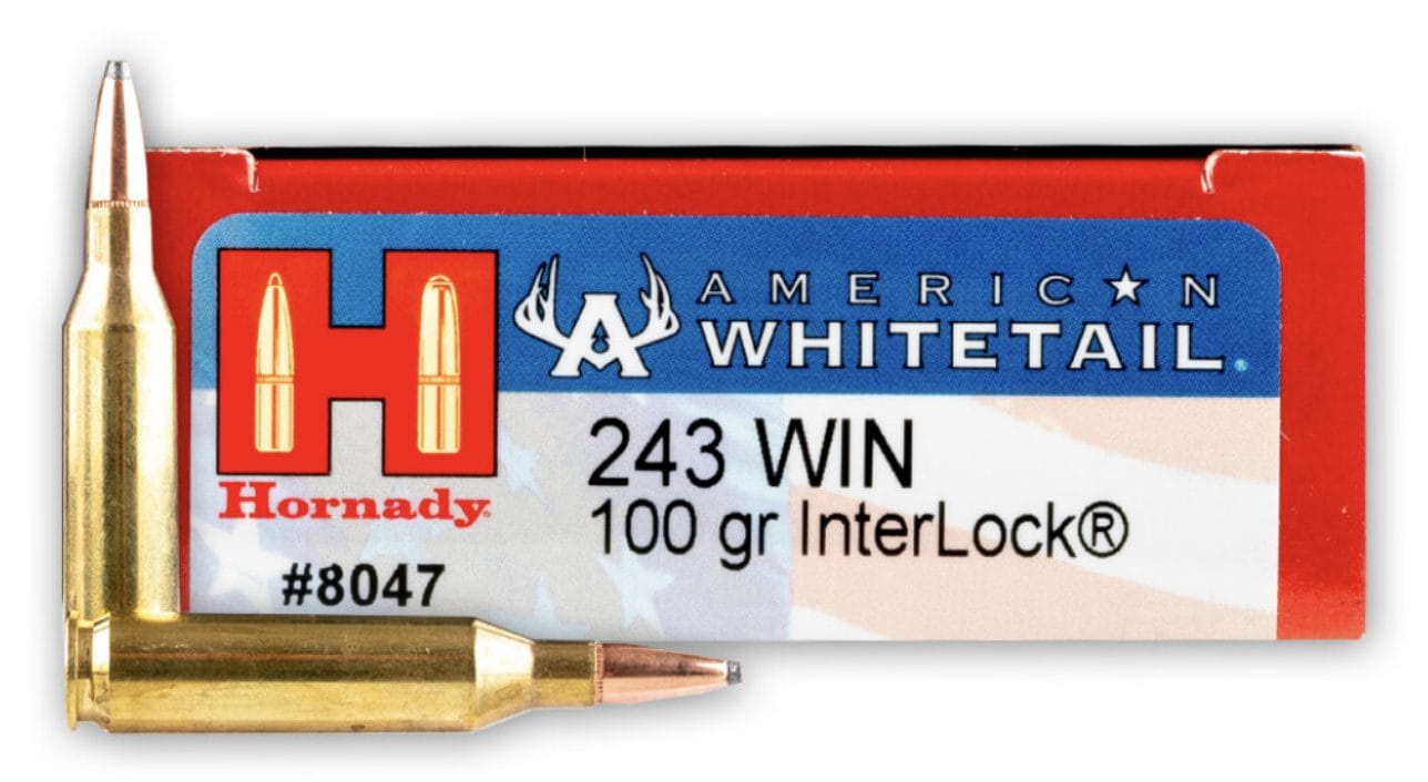 image of Hornady American Whitetail – 243 – 100 Grain SP