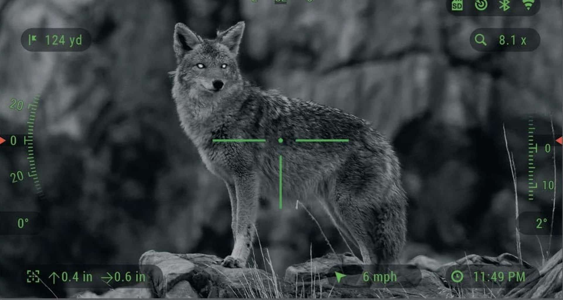 4 Best Night Vision Scopes for the Money