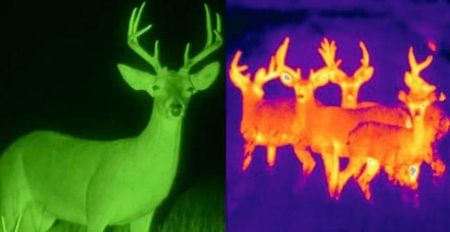 Night Vision vs. Thermal Night Vision vs. Thermal